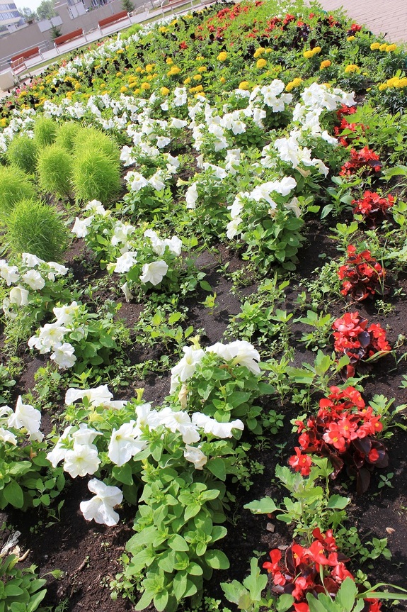 «Университетский»: микрорайон с семейной перспективой. ФОТОПРОЕКТ 19 «Университетский»: микрорайон с семейной перспективой. ФОТОПРОЕКТ 19