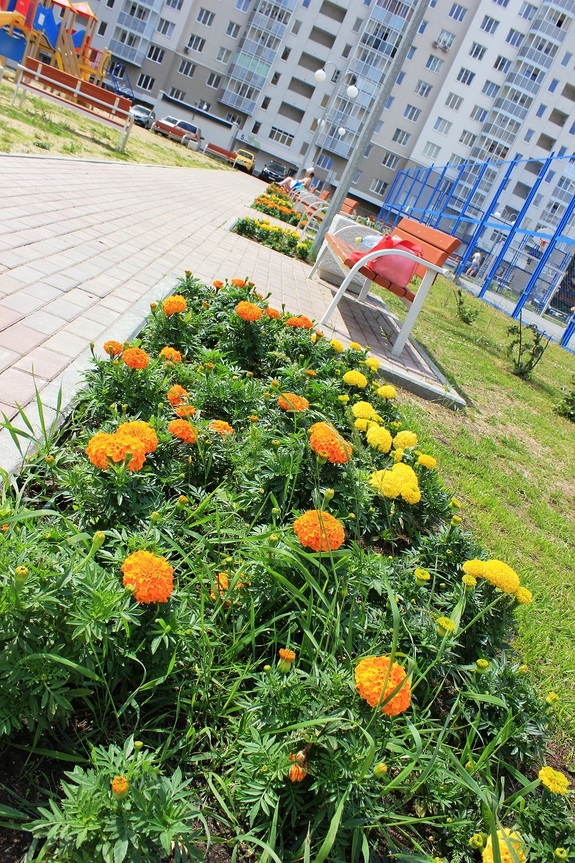 «Университетский»: микрорайон с семейной перспективой. ФОТОПРОЕКТ 20 «Университетский»: микрорайон с семейной перспективой. ФОТОПРОЕКТ 20