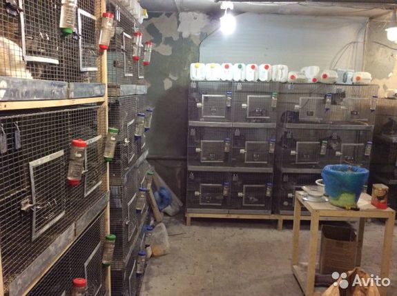 Топ-7 предложений по продаже готового бизнеса в Нижнем Новгороде 6 Топ-7 предложений по продаже готового бизнеса в Нижнем Новгороде 6