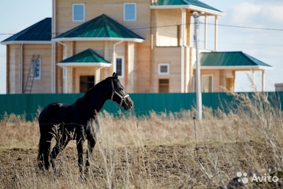 Топ-7 предложений по продаже готового бизнеса в Нижнем Новгороде 8 Топ-7 предложений по продаже готового бизнеса в Нижнем Новгороде 8