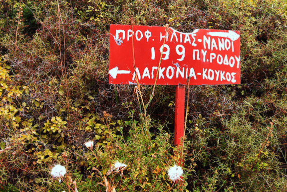 На квадроцикле по острову Родос: авто-лайфхак от Дмитрия Елизарова 11 На квадроцикле по острову Родос: авто-лайфхак от Дмитрия Елизарова 11