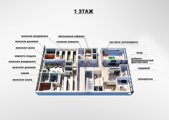 50 млн рублей инвестиций: в Красноярске откроется новый фитнес-клуб 1 50 млн рублей инвестиций: в Красноярске откроется новый фитнес-клуб 1