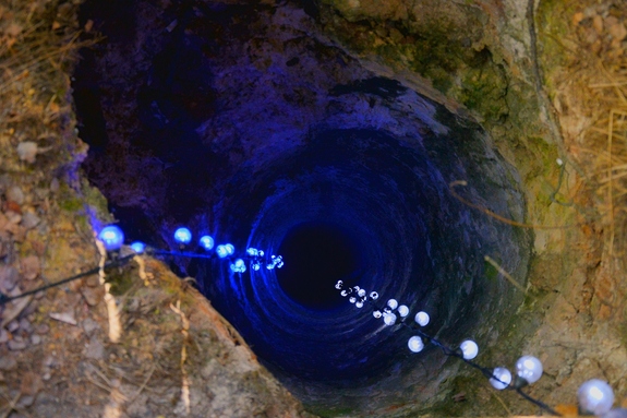 Заработать на собаках. История владельца хаски-центра «Аквилон» Бориса Дашевского 3 Заработать на собаках. История владельца хаски-центра «Аквилон» Бориса Дашевского 3