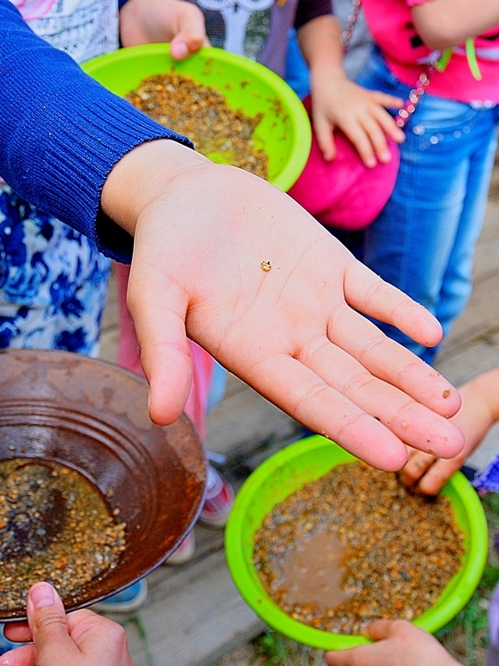 Заработать на собаках. История владельца хаски-центра «Аквилон» Бориса Дашевского 4 Заработать на собаках. История владельца хаски-центра «Аквилон» Бориса Дашевского 4