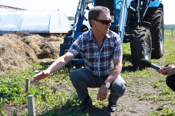 «Это чушь, что здесь зона рискованного земледелия». История первой экофермы на Урале 8 «Это чушь, что здесь зона рискованного земледелия». История первой экофермы на Урале 8