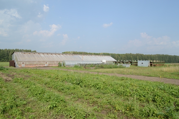 «Это чушь, что здесь зона рискованного земледелия». История первой экофермы на Урале 5 «Это чушь, что здесь зона рискованного земледелия». История первой экофермы на Урале 5