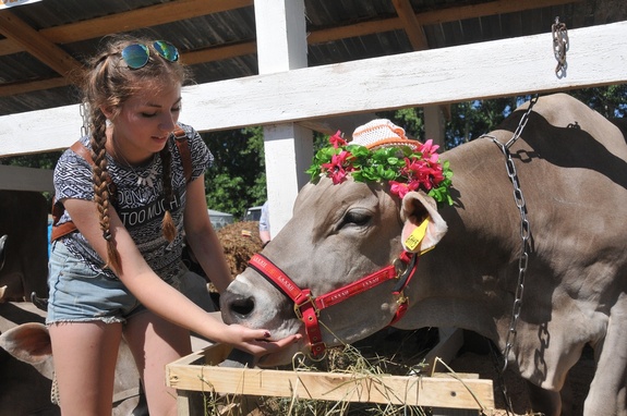 Что интересного было на "Агрофесте-2016" в Нижегородской области: ФОТОРЕПОРТАЖ 3 Что интересного было на "Агрофесте-2016" в Нижегородской области: ФОТОРЕПОРТАЖ 3