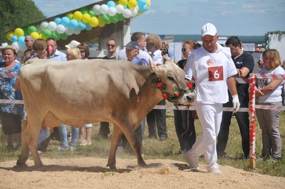 Что интересного было на "Агрофесте-2016" в Нижегородской области: ФОТОРЕПОРТАЖ 1 Что интересного было на "Агрофесте-2016" в Нижегородской области: ФОТОРЕПОРТАЖ 1