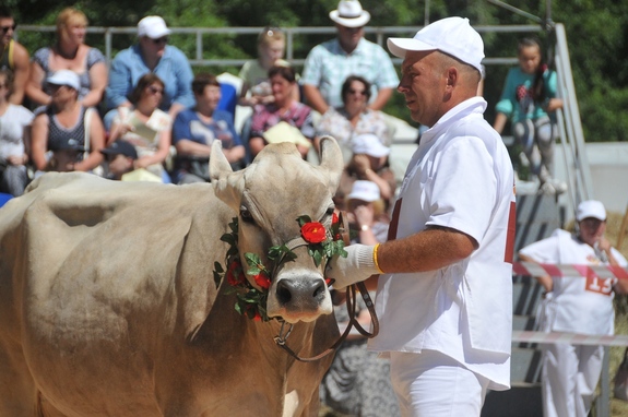 Что интересного было на "Агрофесте-2016" в Нижегородской области: ФОТОРЕПОРТАЖ 2 Что интересного было на "Агрофесте-2016" в Нижегородской области: ФОТОРЕПОРТАЖ 2