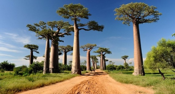 Россия попала в список обязательных для посещения мест на планете 1 Россия попала в список обязательных для посещения мест на планете 1