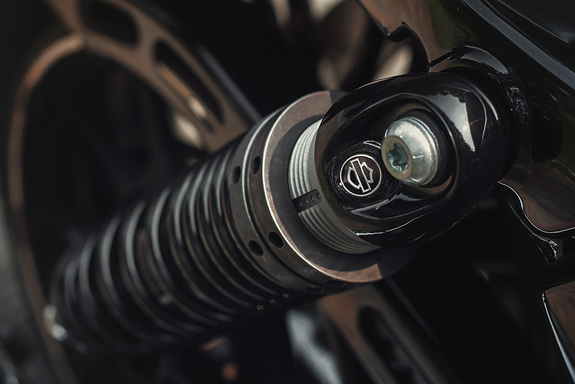 Harley-Davidson Sportster Forty-Eight: тест-драйв с Дмитрием Елизаровым 10 Harley-Davidson Sportster Forty-Eight: тест-драйв с Дмитрием Елизаровым 10