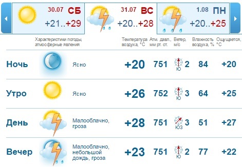Погода на выходные, 30-31 июля, в Нижнем Новгороде: солнечно и тепло 1 Погода на выходные, 30-31 июля, в Нижнем Новгороде: солнечно и тепло 1