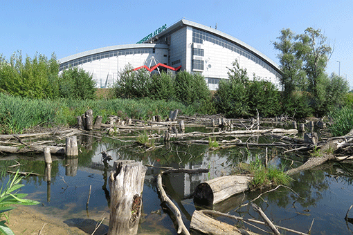 Динозавры «Юркина парка» переедут в заросли на берегу Казанки 1 Динозавры «Юркина парка» переедут в заросли на берегу Казанки 1