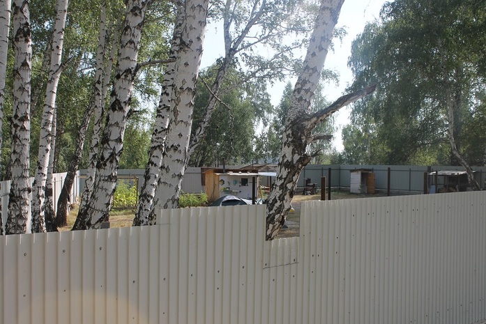 В пригороде Челябинска началась застройка берега озера Сугояк 5 В пригороде Челябинска началась застройка берега озера Сугояк 5