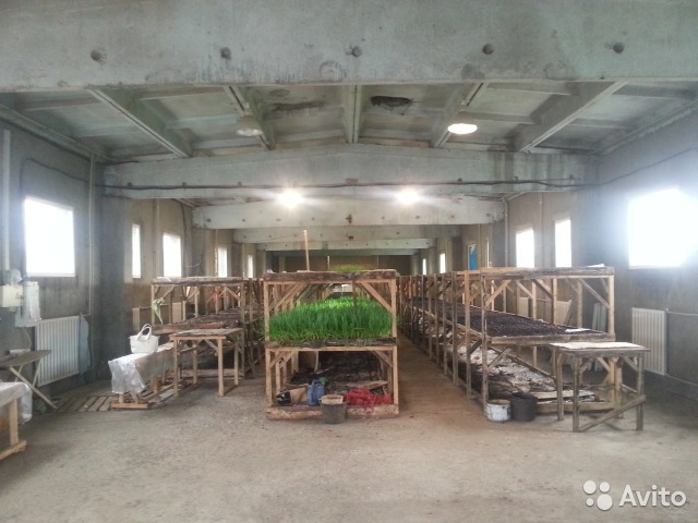 10 готовых бизнесов на продажу в Нижнем Новгороде: фуд-трак, два хостела и «Трдельник» 2 10 готовых бизнесов на продажу в Нижнем Новгороде: фуд-трак, два хостела и «Трдельник» 2