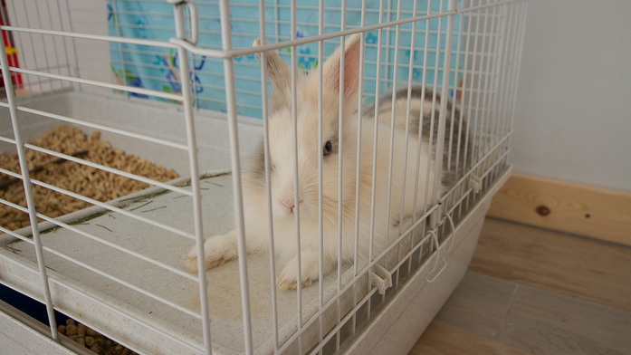 Покупать надо не квартиру, а комплекс 10 Покупать надо не квартиру, а комплекс 10