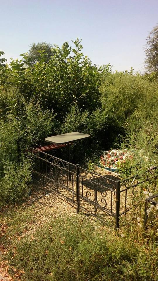 Россельхознадзор в Ростовской области обнаружил 150 га заросших амброзией полей 1 Россельхознадзор в Ростовской области обнаружил 150 га заросших амброзией полей 1