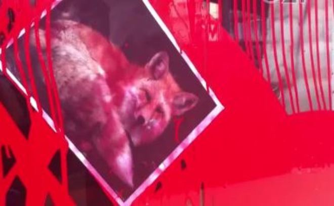 В Казани неизвестные залили витрины мехового салона красной краской 1 В Казани неизвестные залили витрины мехового салона красной краской 1