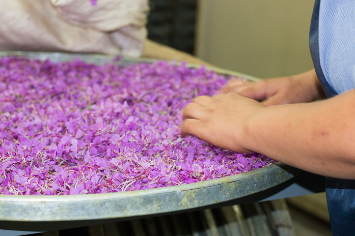 «Критерий «вкусно-невкусно» тут не работает». Как «Айдиго» разбавила специи иван-чаем 3 «Критерий «вкусно-невкусно» тут не работает». Как «Айдиго» разбавила специи иван-чаем 3