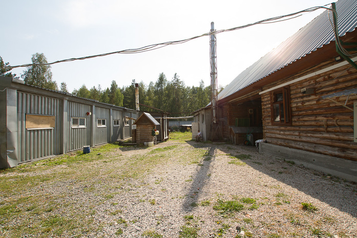 «Я не думал, сколько заработаю, думал лишь, сколько потеряю». Опыт создания фазаньей фермы 6 «Я не думал, сколько заработаю, думал лишь, сколько потеряю». Опыт создания фазаньей фермы 6