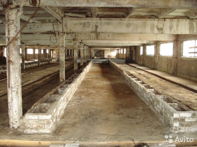 10 готовых бизнесов на продажу в Нижнем Новгороде: «Подворье Владыкино» и колхоз 4 10 готовых бизнесов на продажу в Нижнем Новгороде: «Подворье Владыкино» и колхоз 4