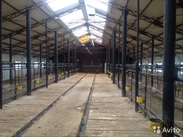 10 готовых бизнесов на продажу в Нижнем Новгороде: «Подворье Владыкино» и колхоз 2 10 готовых бизнесов на продажу в Нижнем Новгороде: «Подворье Владыкино» и колхоз 2