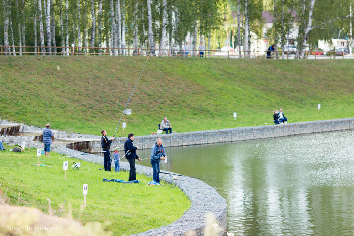 «Лесной остров» построен: что дальше? 9 «Лесной остров» построен: что дальше? 9