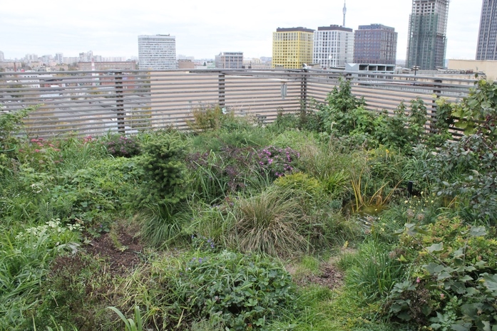 Офис-лофт, или почему сотрудники хотят «жить» на работе. Опыт 10 Офис-лофт, или почему сотрудники хотят «жить» на работе. Опыт 10