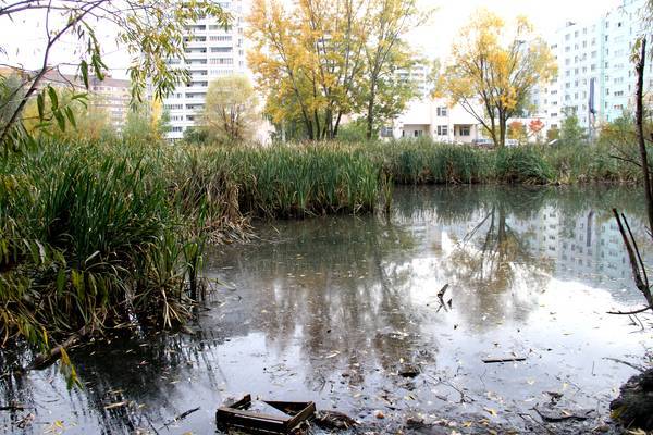 В Казани неизвестные слили нечистоты в озеро на улице Серова 1 В Казани неизвестные слили нечистоты в озеро на улице Серова 1