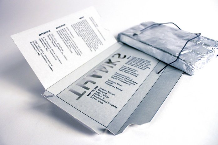 10 самых оригинальных западных резюме: шоколад, картонные коробки или Google 1 10 самых оригинальных западных резюме: шоколад, картонные коробки или Google 1