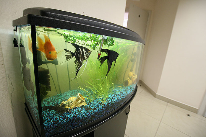 Как «СКБ Контур» менял прописку / ФОТО 19 Как «СКБ Контур» менял прописку / ФОТО 19