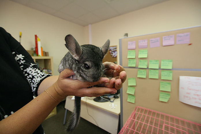 Как «СКБ Контур» менял прописку / ФОТО 23 Как «СКБ Контур» менял прописку / ФОТО 23