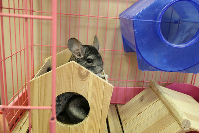 Как «СКБ Контур» менял прописку / ФОТО 24 Как «СКБ Контур» менял прописку / ФОТО 24