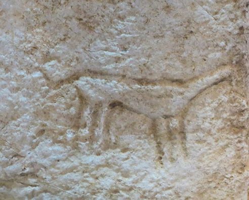 Игорь Гришин: Босния может заменить Алтай, Саяны, Турцию и даже Грецию 3 Игорь Гришин: Босния может заменить Алтай, Саяны, Турцию и даже Грецию 3