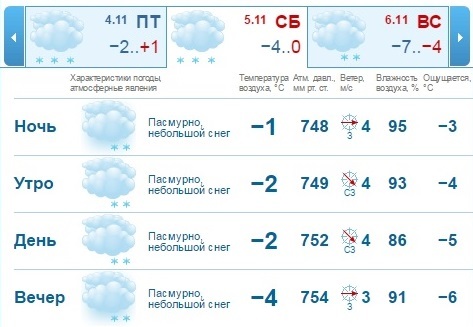 Прогноз погоды на ноябрьские праздники в Нижнем Новгороде: торжества под снегом 1 Прогноз погоды на ноябрьские праздники в Нижнем Новгороде: торжества под снегом 1