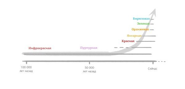 Самоуправление и никаких должностных инструкций: как работают бирюзовые компании в РФ 1 Самоуправление и никаких должностных инструкций: как работают бирюзовые компании в РФ 1