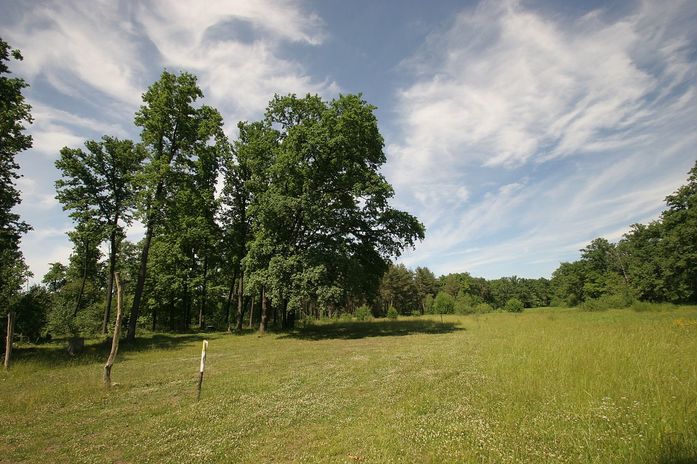 «Жилстрой-НН» вложит 20 млрд руб. в новый микрорайон «Юг-2» в Нижнем Новгороде 1 «Жилстрой-НН» вложит 20 млрд руб. в новый микрорайон «Юг-2» в Нижнем Новгороде 1