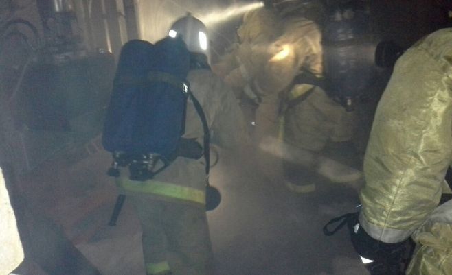 В Казани произошёл пожар на комбикормовом заводе 1 В Казани произошёл пожар на комбикормовом заводе 1