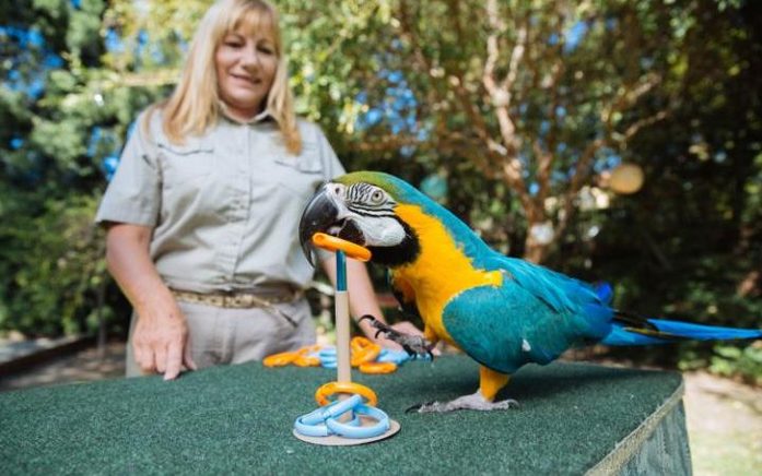 День рекордов Гиннеса: самые необычные достижения 2016 года 5 День рекордов Гиннеса: самые необычные достижения 2016 года 5