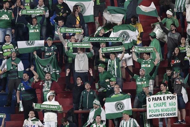 Крушение самолета в Колумбии: фото с места трагедии 5 Крушение самолета в Колумбии: фото с места трагедии 5