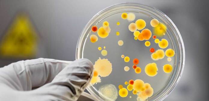 РЦИ «Биотехнологии и глубокая переработка растительного сырья» приглашает к сотрудничеству 1 РЦИ «Биотехнологии и глубокая переработка растительного сырья» приглашает к сотрудничеству 1