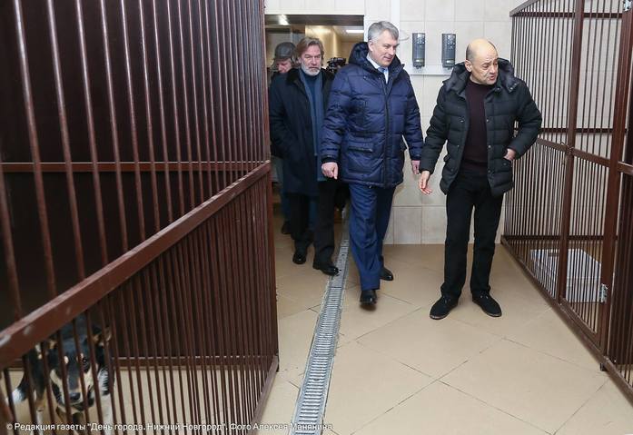 Владимир Гройсман открыл в Нижнем Новгороде приют для бездомных собак и кошек 2 Владимир Гройсман открыл в Нижнем Новгороде приют для бездомных собак и кошек 2