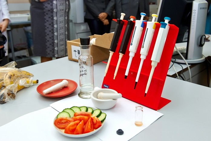 Красноярские ученые стали тестировать фрукты и овощи с помощью светляков
1 Красноярские ученые стали тестировать фрукты и овощи с помощью светляков
1