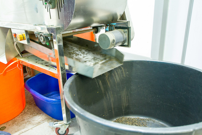 Джем из шишек, цукаты из аронии и тыквы — как открыть на Урале уникальный цех экопродукции 6 Джем из шишек, цукаты из аронии и тыквы — как открыть на Урале уникальный цех экопродукции 6