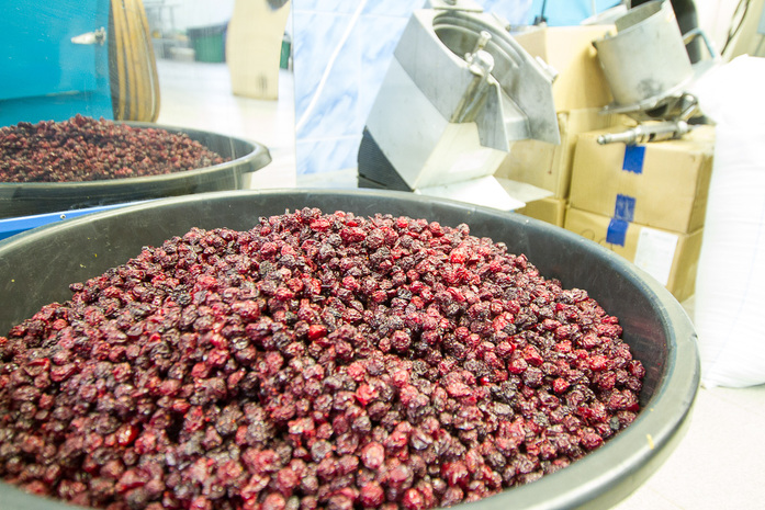 Джем из шишек, цукаты из аронии и тыквы — как открыть на Урале уникальный цех экопродукции 9 Джем из шишек, цукаты из аронии и тыквы — как открыть на Урале уникальный цех экопродукции 9