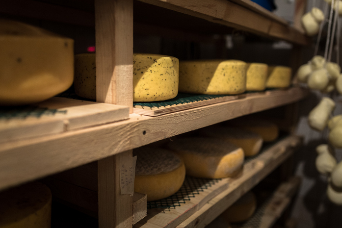 Скаморца по-нижегородски. Трое друзей производят собственный итальянский сыр 1 Скаморца по-нижегородски. Трое друзей производят собственный итальянский сыр 1