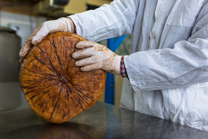 Скаморца по-нижегородски. Трое друзей производят собственный итальянский сыр 2 Скаморца по-нижегородски. Трое друзей производят собственный итальянский сыр 2