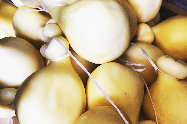 Скаморца по-нижегородски. Трое друзей производят собственный итальянский сыр 3 Скаморца по-нижегородски. Трое друзей производят собственный итальянский сыр 3