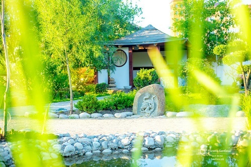 Вырастить парк: особенности бизнеса на альпийских горках в Красноярске
4 Вырастить парк: особенности бизнеса на альпийских горках в Красноярске
4