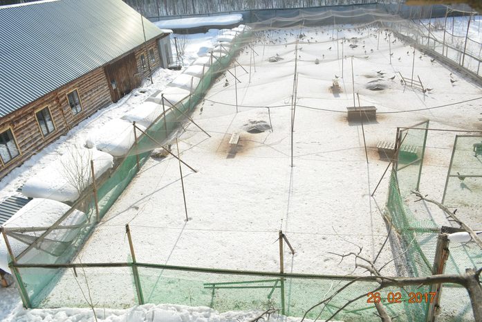 «Скорее всего, продадим это хозяйство». Дмитрий Панов о перспективах бизнеса / ЭКСКЛЮЗИВ 1 «Скорее всего, продадим это хозяйство». Дмитрий Панов о перспективах бизнеса / ЭКСКЛЮЗИВ 1